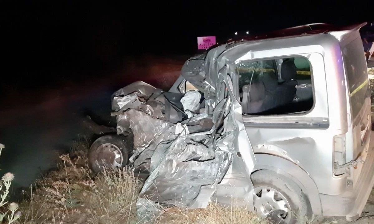 Trafik kazası: Geyik çarpmasıyla iki araç çarpıştı, bir ölü var
