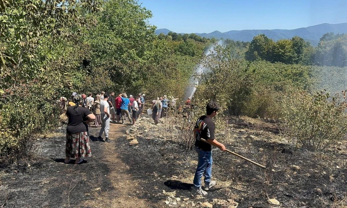 Alaplı'daki fındık baharındaki yangın söndürüldü, ormana ve evlere sıçramadan