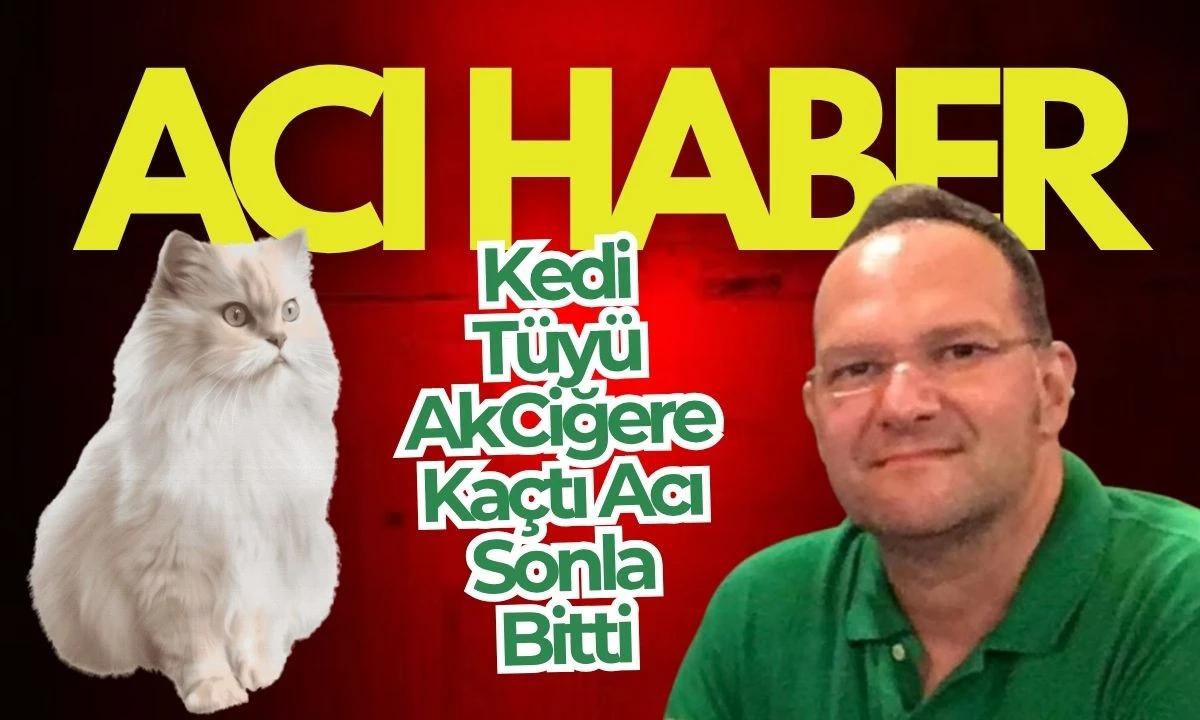 Akciğer Enfeksiyonu: Kedi Tüyü Ölümcül Oldu