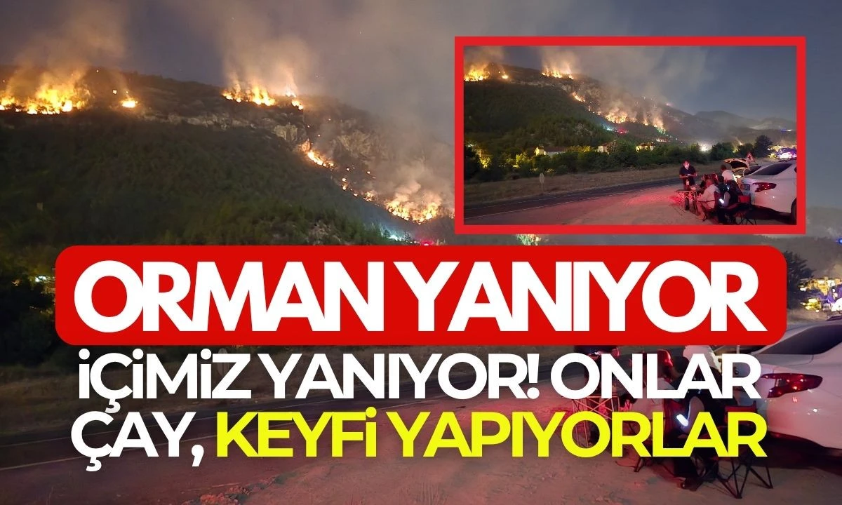 Orman yanıyor onlar çay keyfi yapıyor 