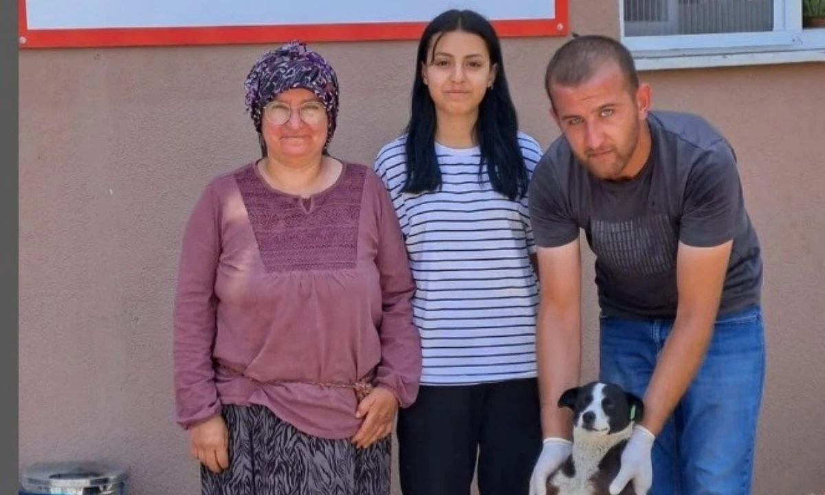 Sokak Hayvanları İçin Sıcak Yuvalar Bolu