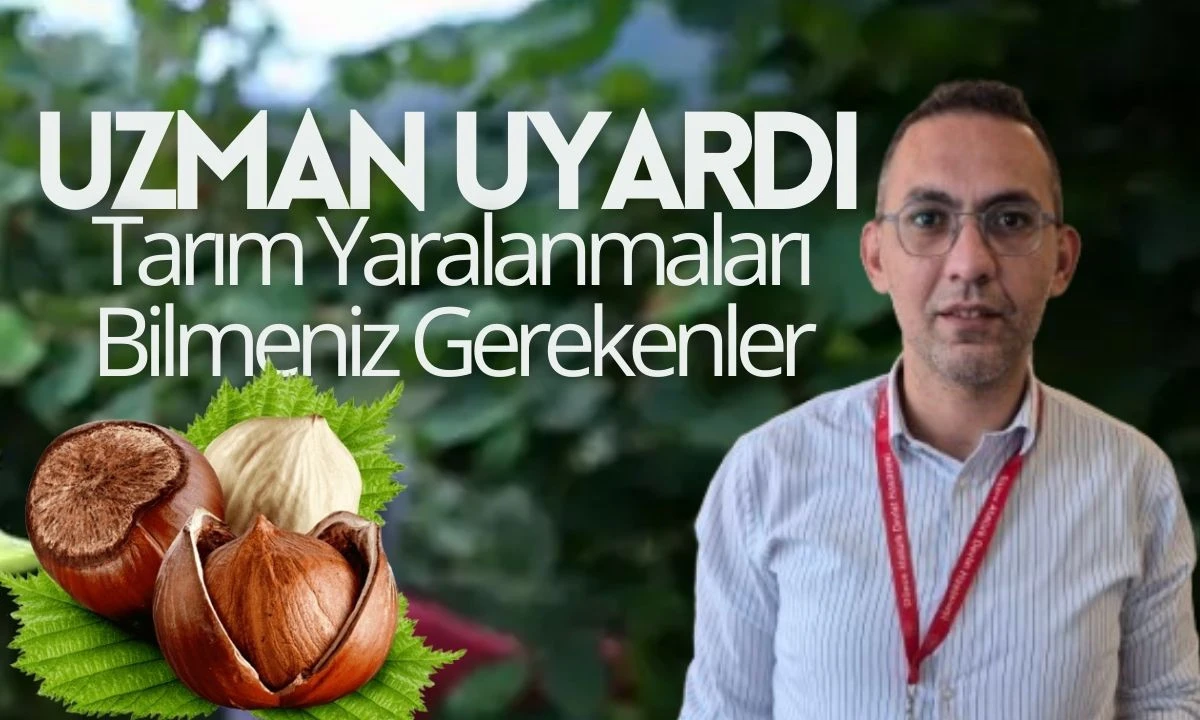 Güvenli Hasat: Uzman Tavsiyeleri