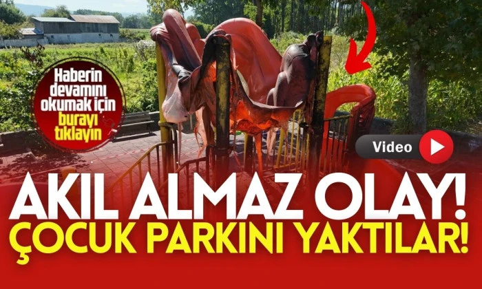 Düzce Parkı Vandallarca yaktı. Düzce Suç Duyurusunda Bulundu