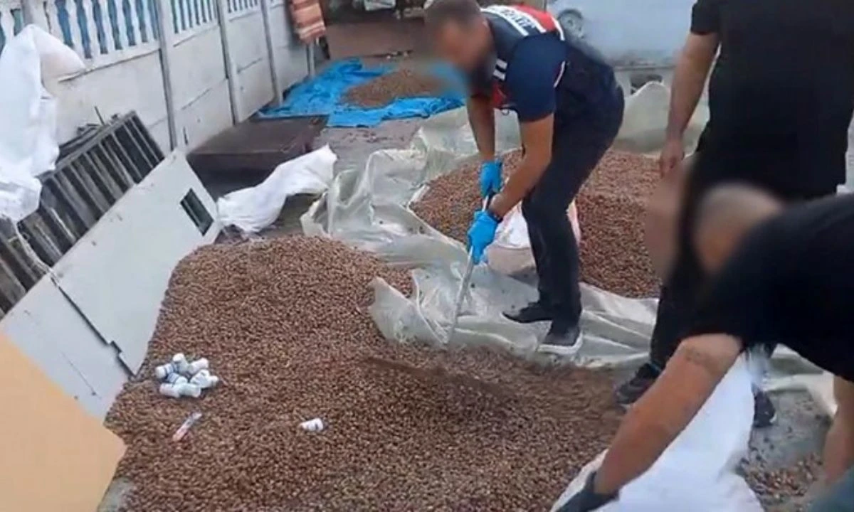 Fındık Çuvalında Gizlenen Zehir Yakalandı