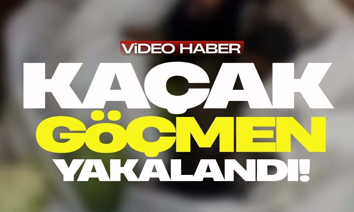 Tırda Gizlenen Afgan Uyruklu Göçmenler Yakalandı