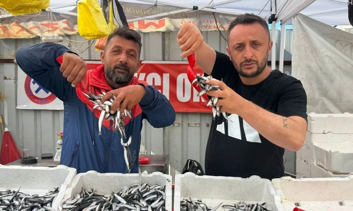 Hamsi Bollaştı Fiyat 70 Liraya İndi