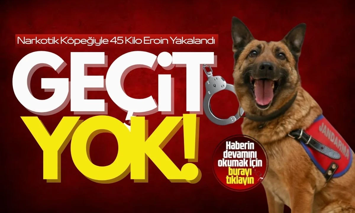 Narkotik Köpeğiyle 45 Kilo Eroin Yakalandı