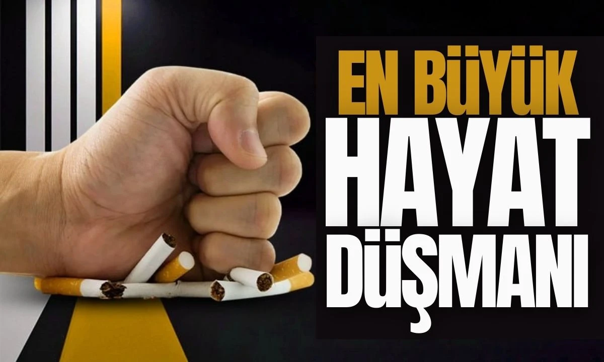 Tütün Kullanımı: En Büyük Hayat Düşmanı