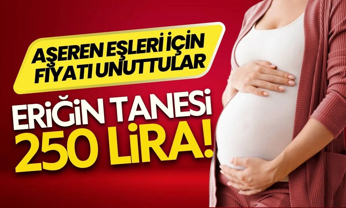 Hamileler için özel olarak Singapur'dan Düzce'ye geliyor