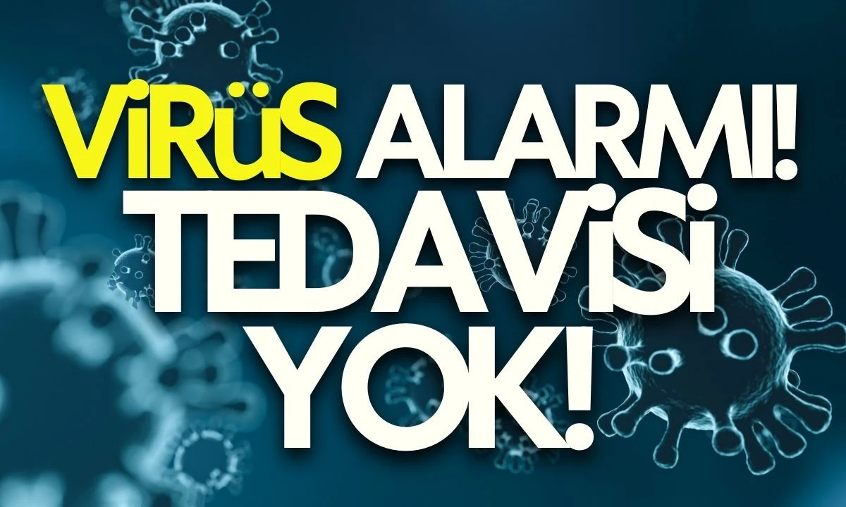 Virüs alarmı! Alarma geçtiler, yolculara tarama yapılıyor