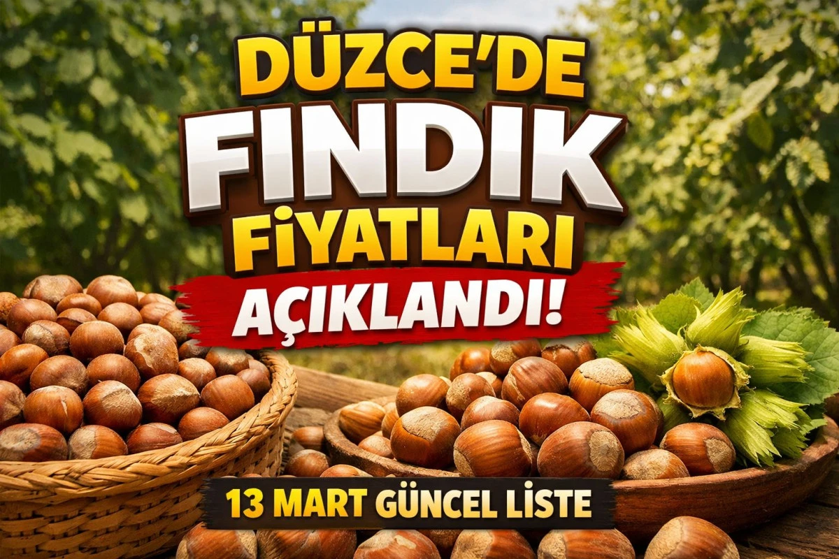Düzce’de Fındık Fiyatları Açıklandı! İl İlçe 13 Mart 2026 Güncel Liste