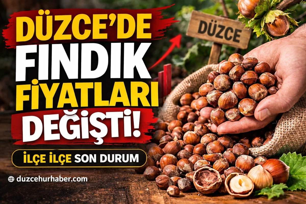 “Düzce’de Fındık Fiyatları Değişti! 14 Mart 2026 İlçe İlçe Son Liste”