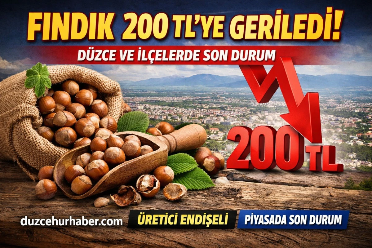 Fındık Fiyatları 20 Mart 2026: Düzce, İlçeler ve Batı Karadeniz’de Son Durum