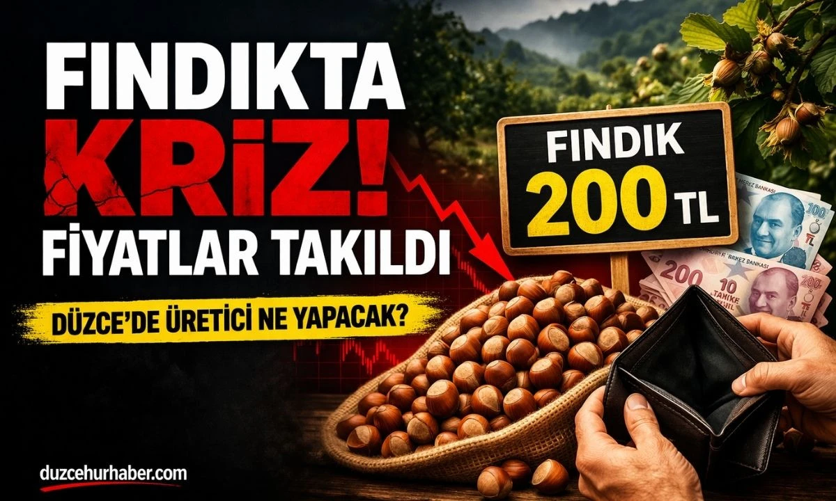 Düzce’de Fındıkta Kriz Tartışması! 25 Mart 2026’da Fiyatlar Neden Yerinde Sayıyor?