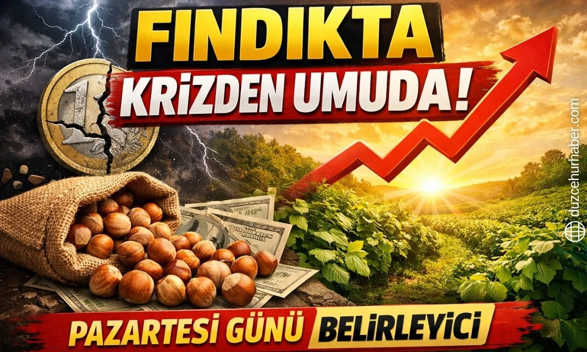 Düzce’de Fındıkta Kritik Süreç! 28 Mart Durgunluğu Sonrası 30 Mart’ta Umut