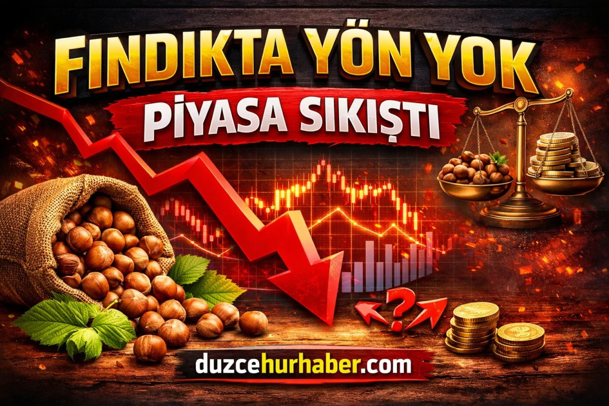 2 Nisan 2026 Fındık Fiyatları: Düzce’de Piyasa Sıkıştı