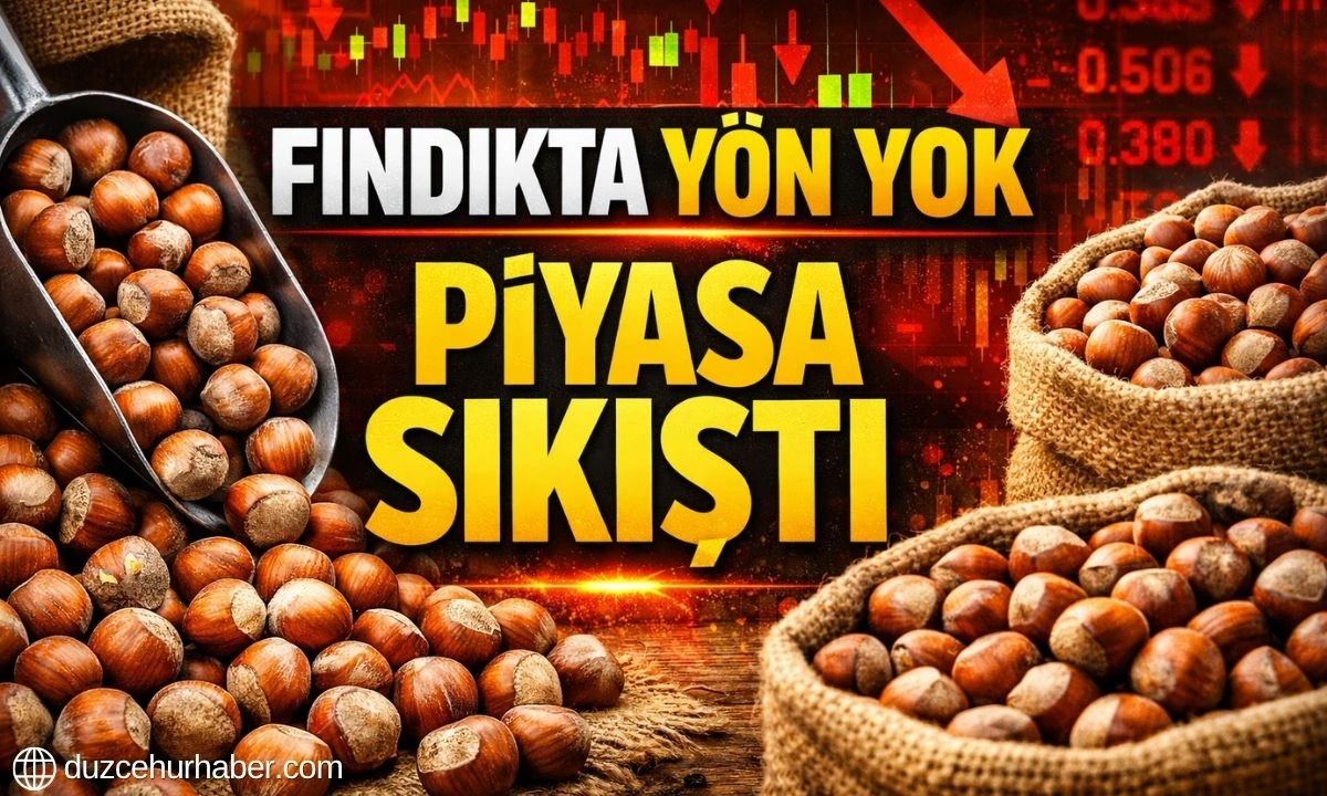 Düzce Fındık Fiyatları 3 Nisan 2026 Bugün: İlçe İlçe Güncel Liste
