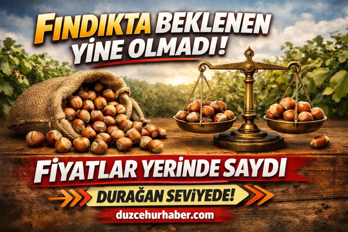 Düzce Fındık Fiyatları 4 Nisan 2026 Bugün: İlçe İlçe Güncel Liste ve Son Durum