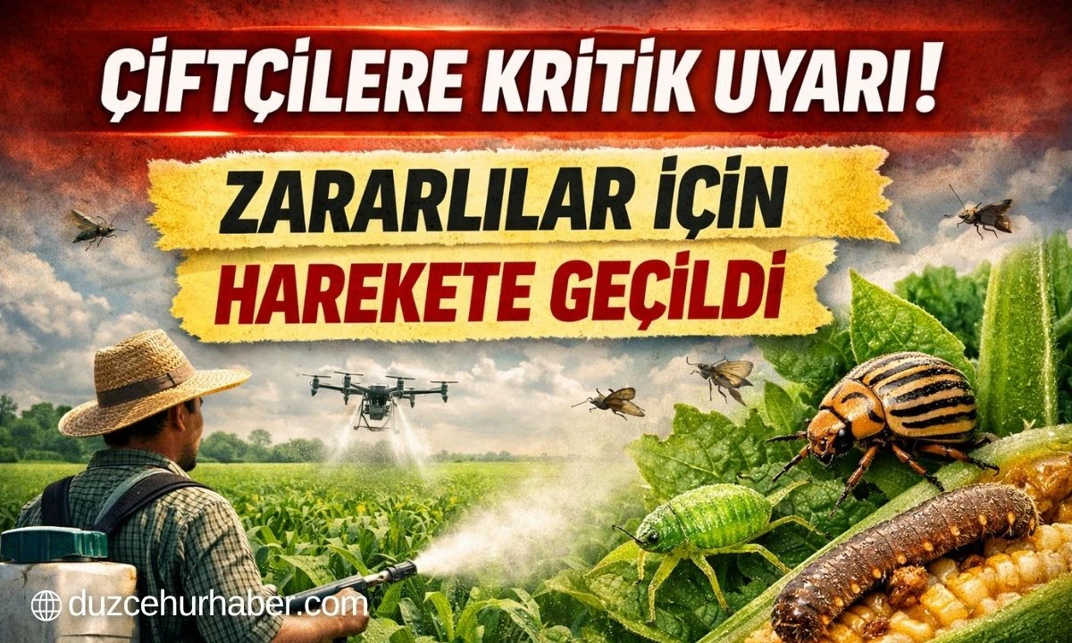 Düzce’de Çiftçilere Kritik Uyarı! Zararlılar ve Fındık İçin Önemli Bilgilendirme
