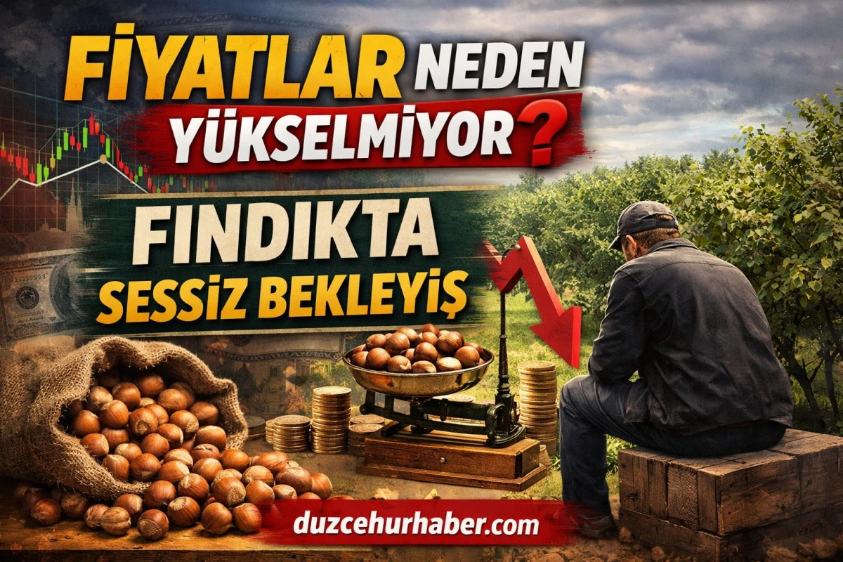 Düzce Fındık Fiyatları 6 Nisan 2026 Bugün: İlçe İlçe Liste ve Fiyatlar Neden Değişmiyor?