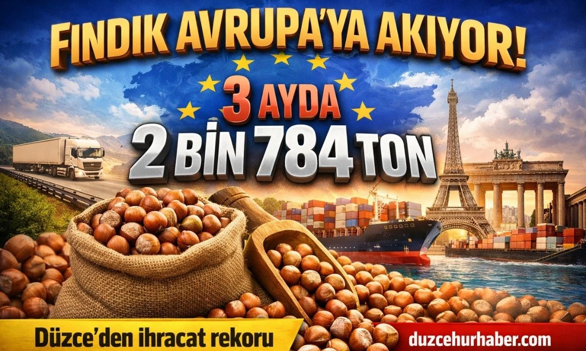 Düzce’den AB’ye fındık ihracatı açıklandı! 3 ayda 2 bin 784 ton
