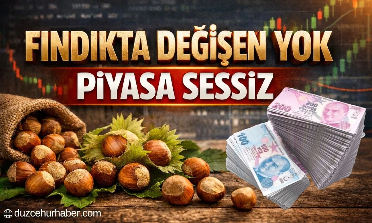 Düzce Fındık Fiyatları 8 Nisan 2026 Bugün: Piyasada Son Tablo, İlçe İlçe Güncel Liste