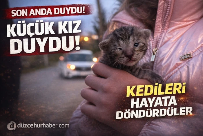Küçük kızın duyarlılığı sayesinde 2 yavru kedi kurtarıldı..