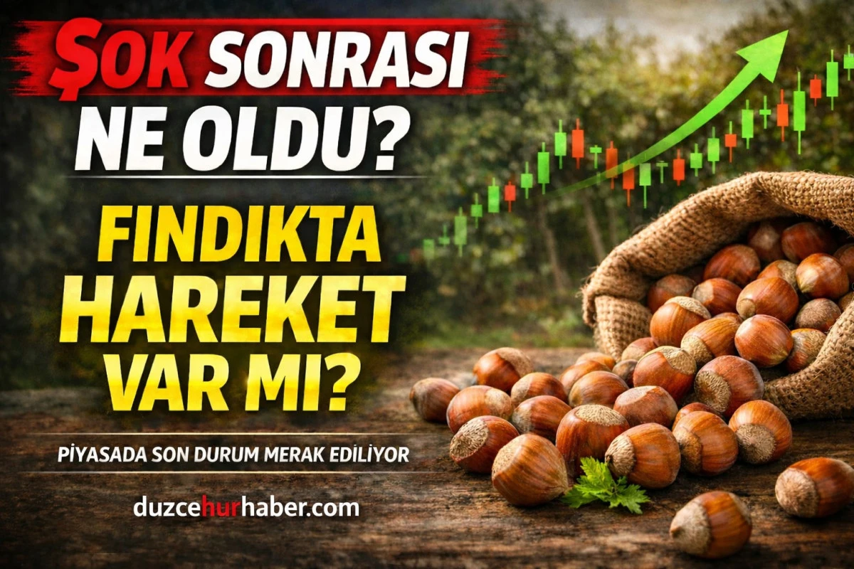 Düzce Fındık Fiyatları 14 Nisan 2026: Şok Sonrası Piyasa Toparlanıyor mu? İlçe İlçe Güncel Liste