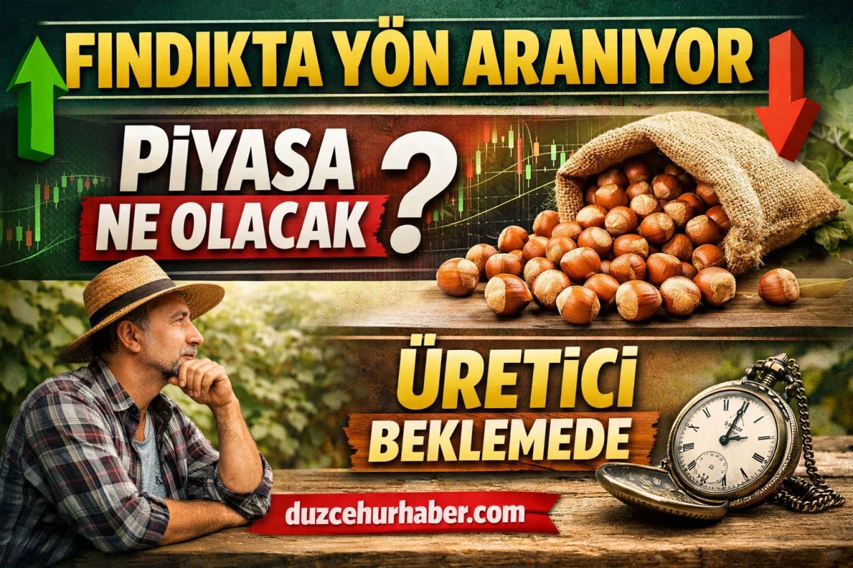 Düzce Fındık Fiyatları 16 Nisan 2026: Piyasada Yön Netleşiyor mu? İlçe İlçe Son Durum