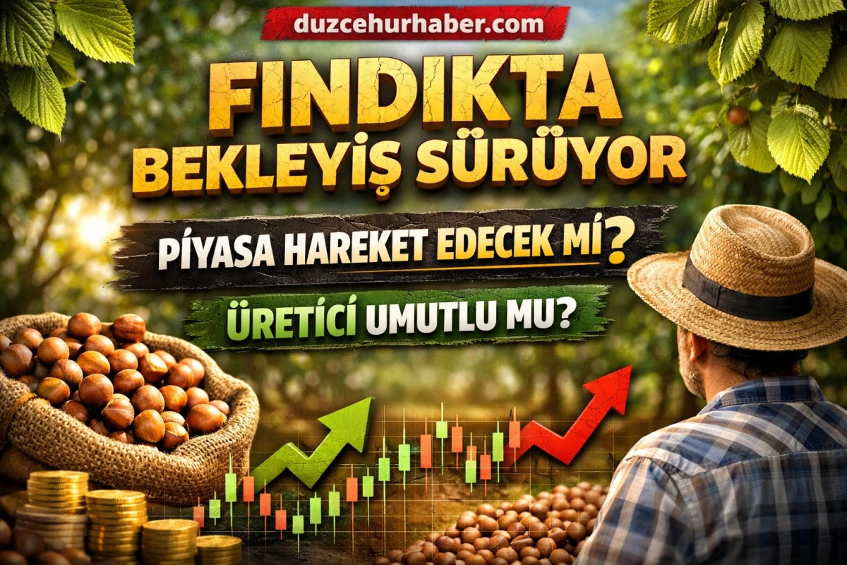 Düzce’de Fındıkta Bekleyiş Sürüyor! 17 Nisan 2026 Fiyatları ve İlçe İlçe Güncel Durum