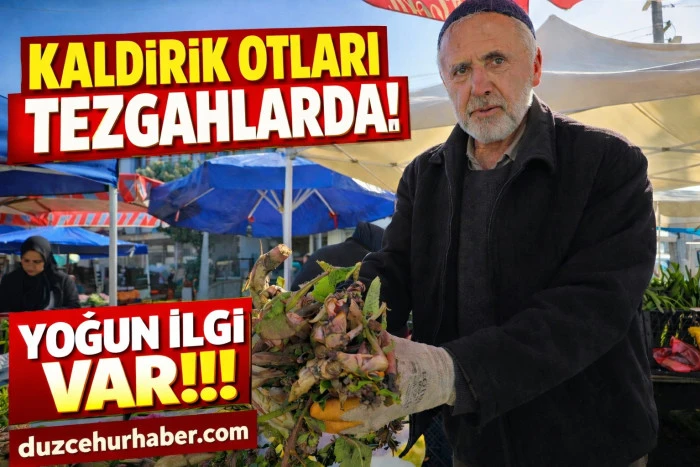 Kaldirik otu tezgahlardaki yerini aldı