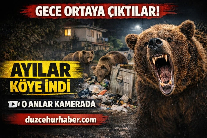 Gece Yolu Bir Anda Hareketlendi… Zonguldak’ta Ayılar Köye İndi