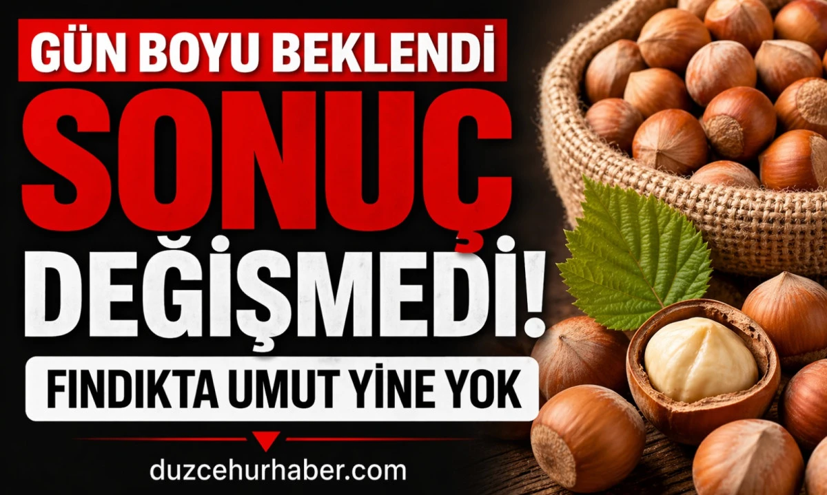 Düzce Fındık Fiyatları 21 Nisan 2026: Gün Sonunda Değişmedi, İşte Son Tablo
