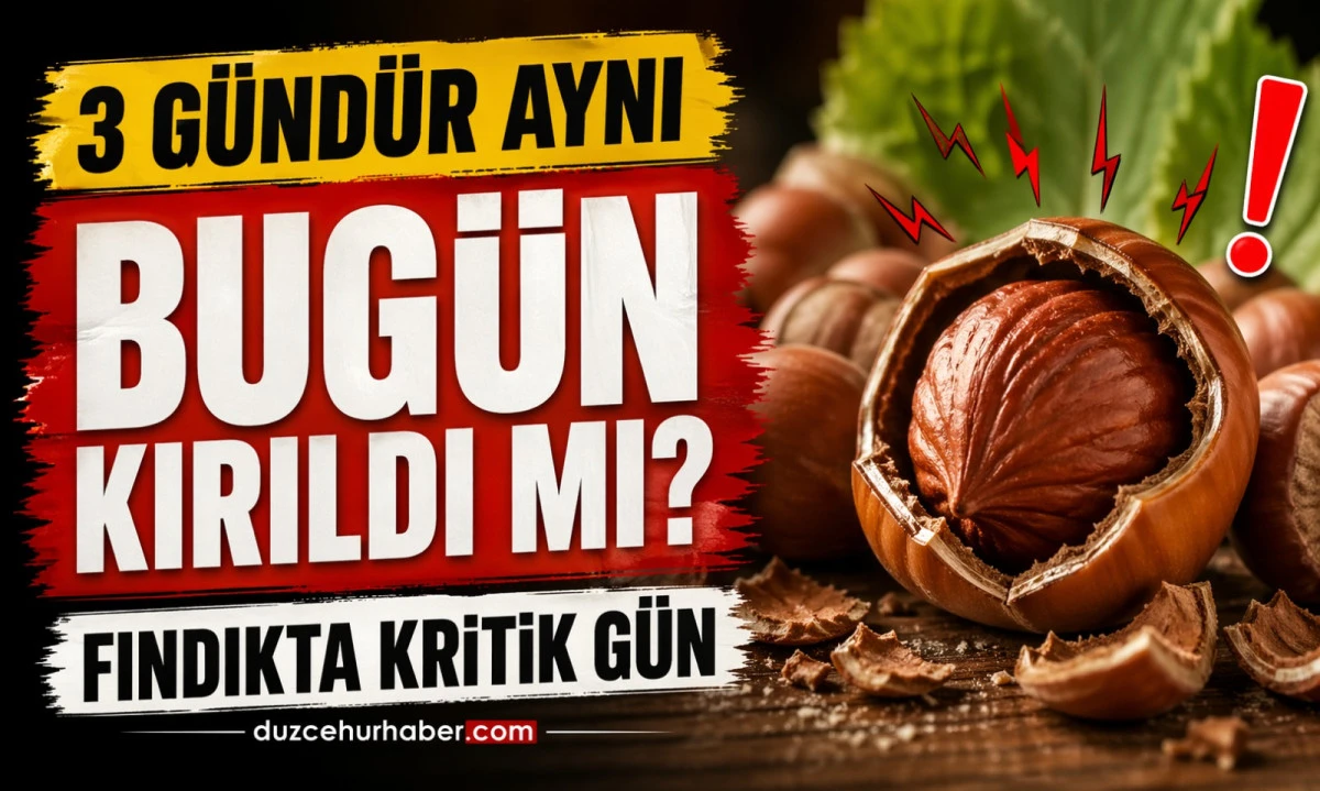 Düzce Fındık Fiyatları 22 Nisan 2026 Bugün: 3 Gündür Değişmeyen Fiyatlar Kırıldı mı?