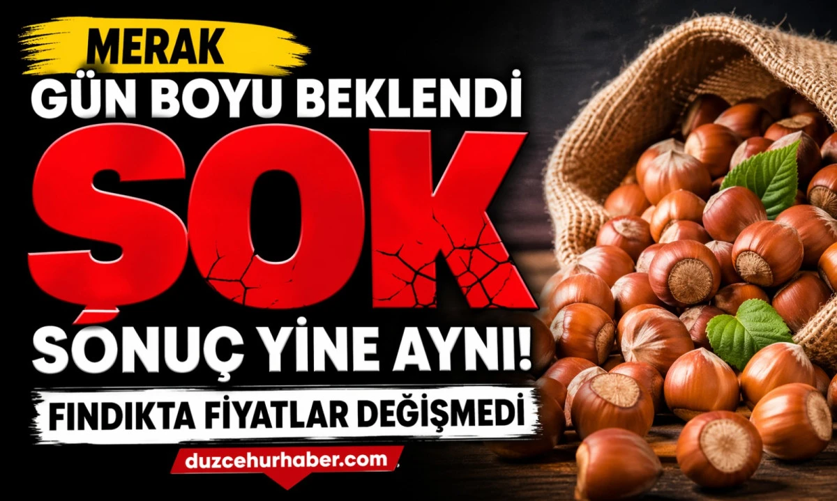 Düzce Fındık Fiyatları 22 Nisan 2026: Gün Boyu Değişmedi mi? İşte Akşam Tablosu
