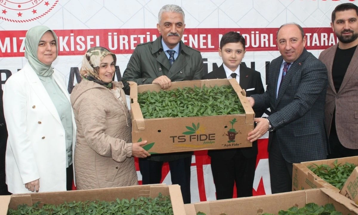 Düzce’de 300 Çiftçiye 110 Bin Fide! 1.8 Milyon TL’lik Dev Destek