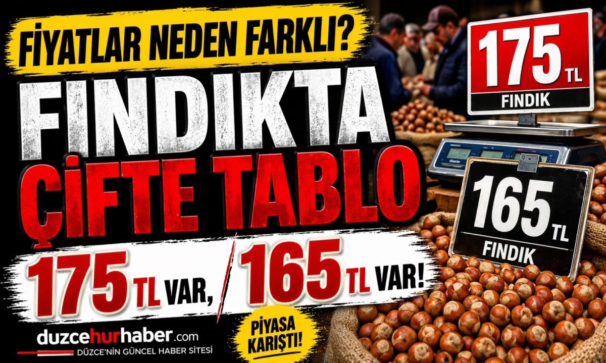 Düzce Fındık Fiyatları 24 Nisan 2026: Gün Boyu Farklı Tablo