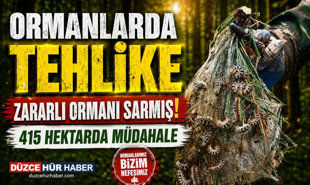 Düzce’de Ormanları Tehdit Eden Zararlıya Doğal Mücadele! 415 Hektarda Çalışma