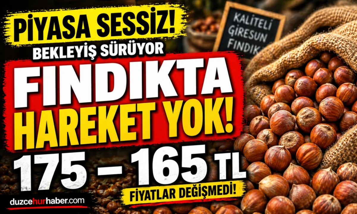 Düzce Fındık Fiyatları 26 Nisan 2026: Pazar Günü Piyasada Son Durum