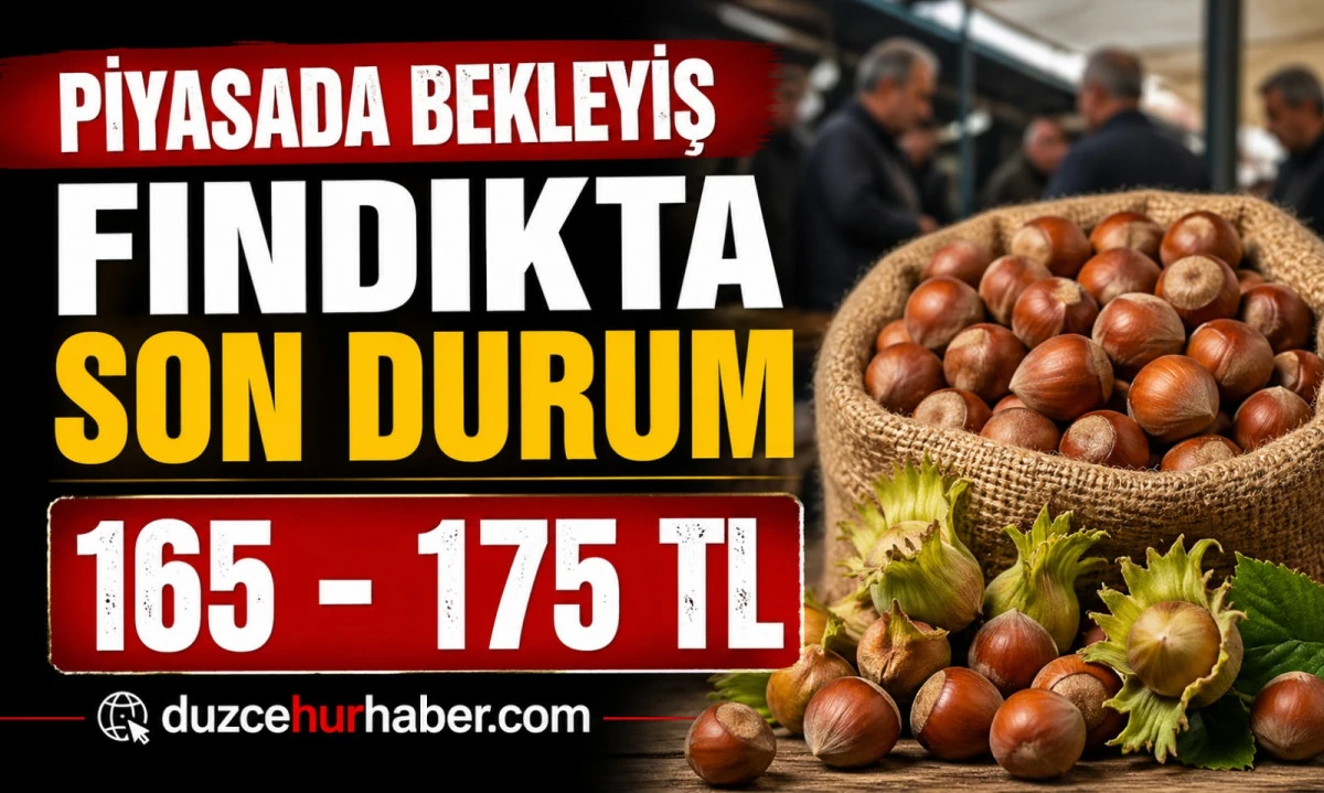 Düzce Fındık Fiyatları 28 Nisan 2026: Piyasada Bekleyiş Sürüyor