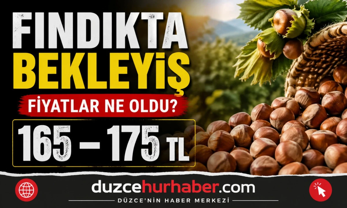 Düzce Fındık Fiyatları 29 Nisan 2026: Piyasada Bekleyiş Devam Ediyor