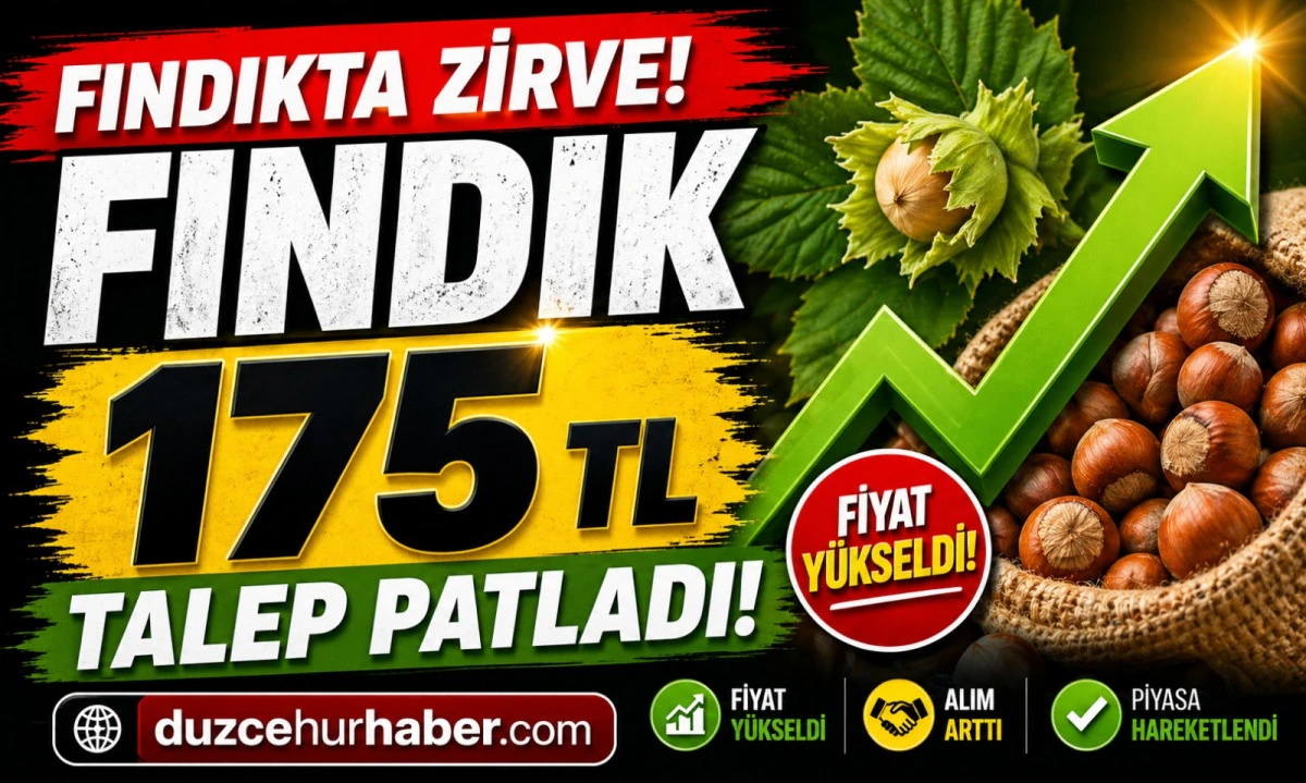 Düzce Fındık Fiyatları 30 Nisan 2026: 170 – 175 TL’ye Yükseldi