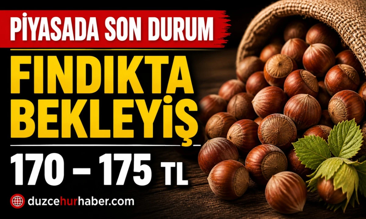 Düzce Fındık Fiyatları 1 Mayıs 2026: Piyasada Son Durum Ne?