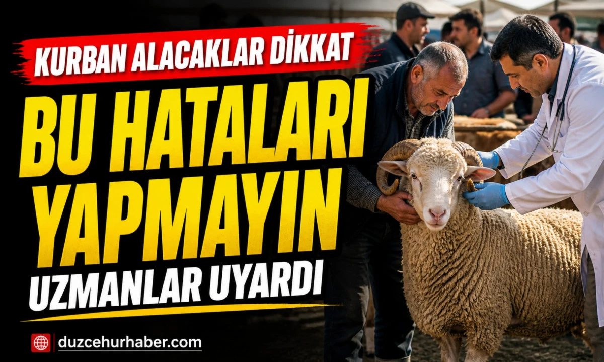 Düzce’de Kurban Alacaklar Dikkat: Uzmanlar Bu Hataları Tek Tek Anlattı