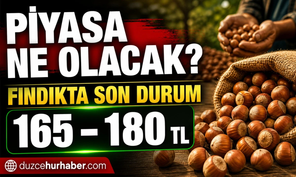 Düzce Fındık Fiyatları 5 Mayıs 2026: Piyasada Denge Arayışı