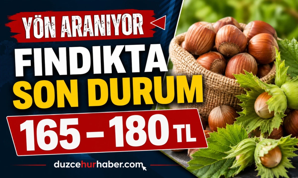 Düzce Fındık Fiyatları 6 Mayıs 2026: Piyasa Yön Arıyor