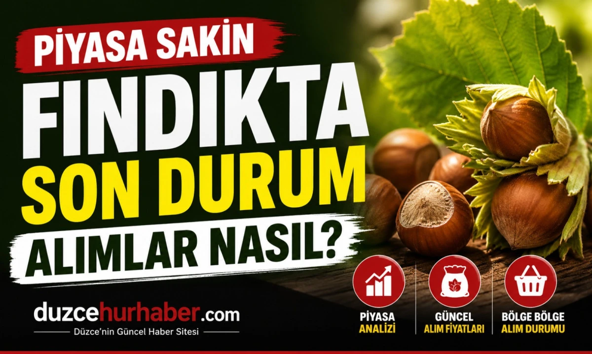 Düzce Fındık Fiyatları 7 Mayıs 2026: Piyasada Sakin Görünüm