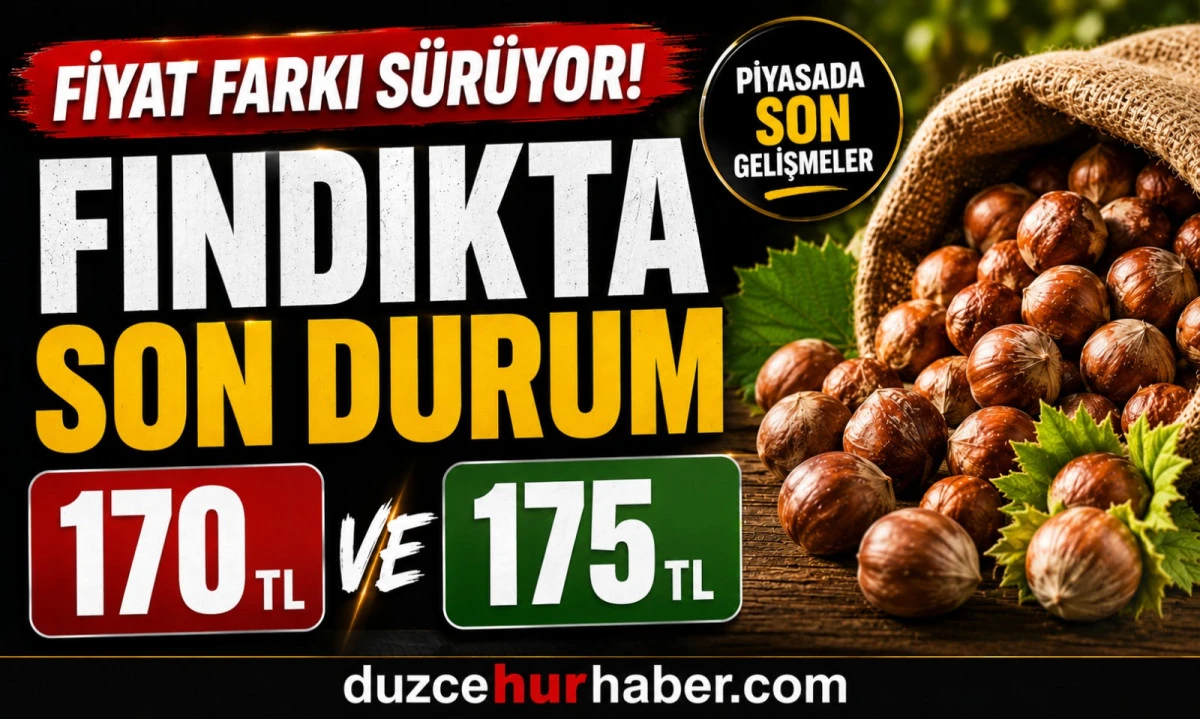 Düzce Fındık Fiyatları 8 Mayıs 2026: 170 TL ve 175 TL Detayı