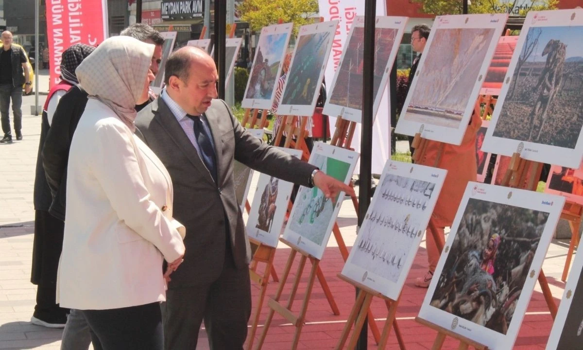 Tarım ve Doğayı Anlatan Kareler Düzce’de Sergilendi