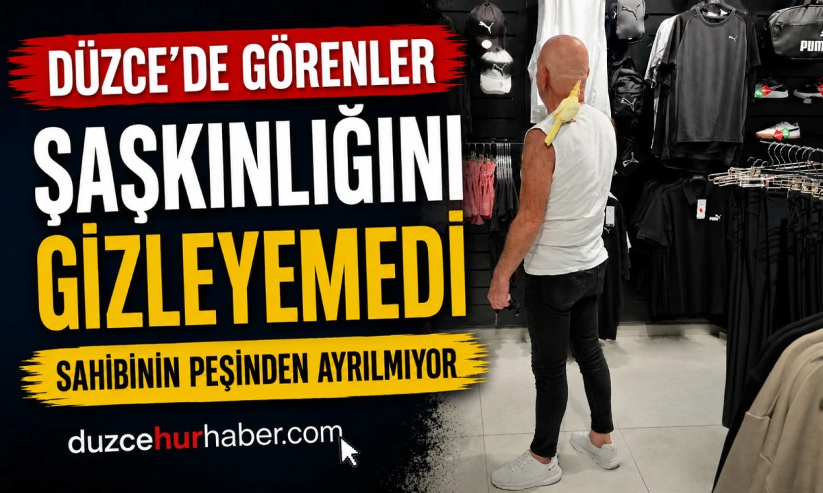 AVM’de Sahibinin Peşinden Bir An Olsun Ayrılmadı